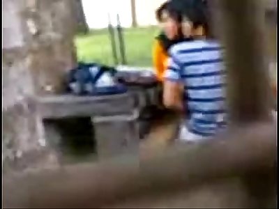 Indian College Students Fucking in public park Voyeur Recorded by people